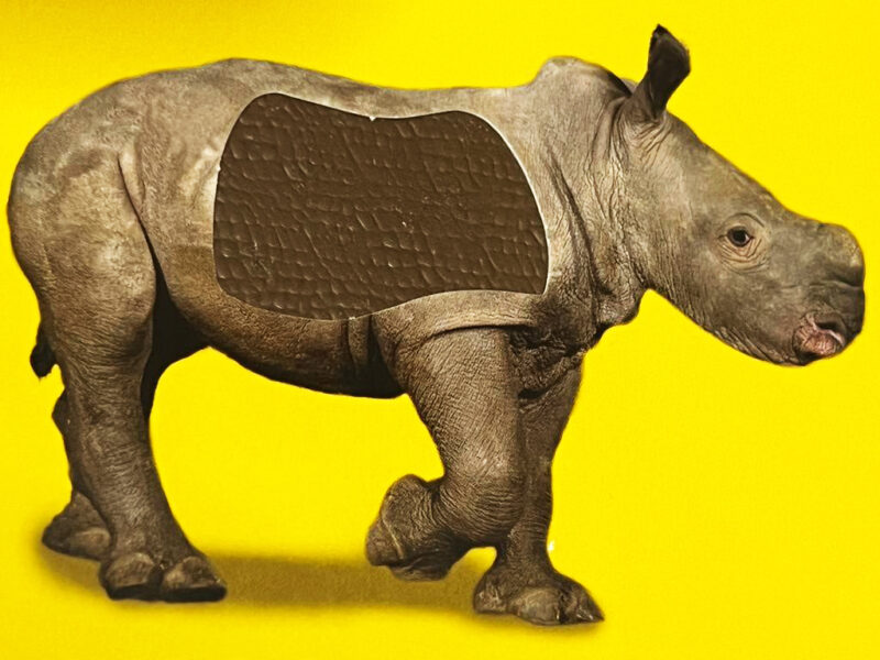 Touch and feel - Animals - Image 2