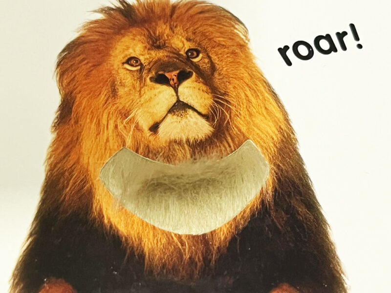 Touch and feel - Animals - Image 3