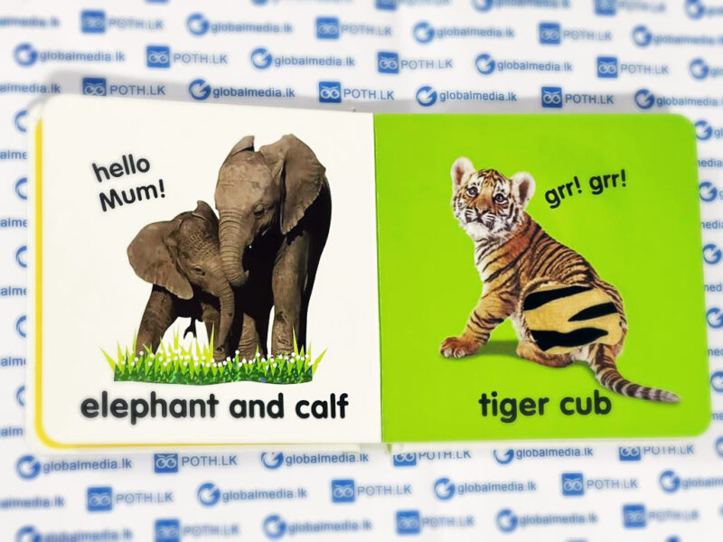 Touch and feel - Animals - Image 4